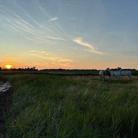 Nedlagt Gard I Naturen Med Ro Og Fred Og Samtidig Taet Pa Strand Og Fiskeri Og Indkobsmuligheder Nordborg Exterior foto